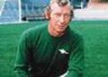 Bob Wilson